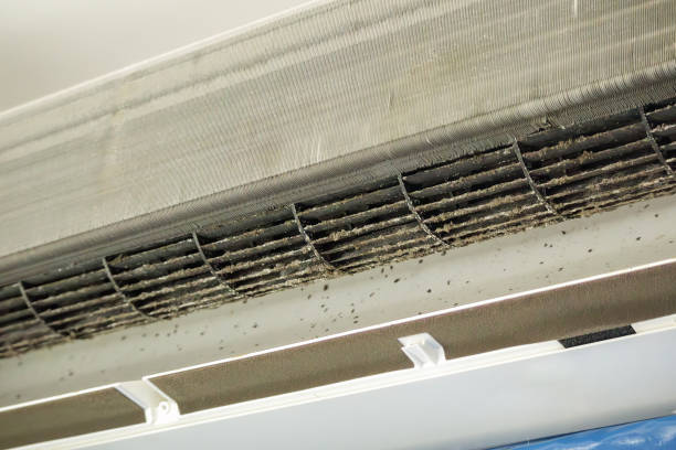 Best Professional Duct Cleaning Services  in Honsville, GA